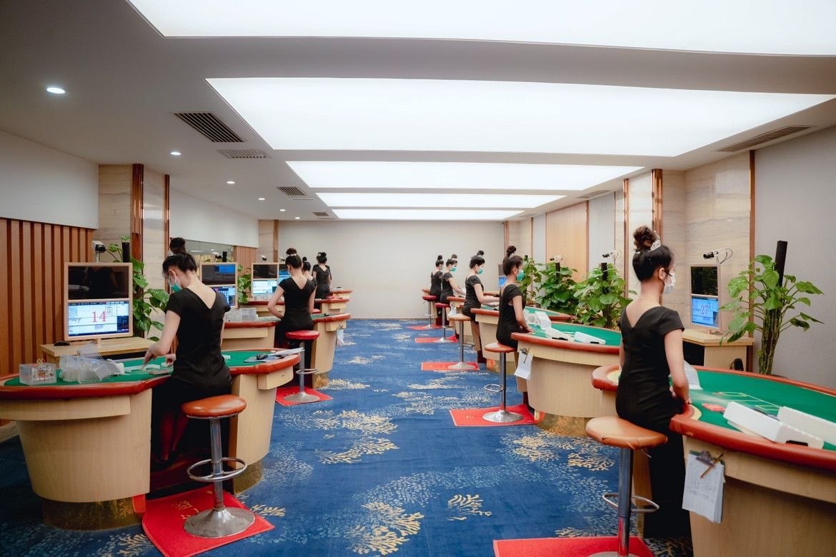 专业团队